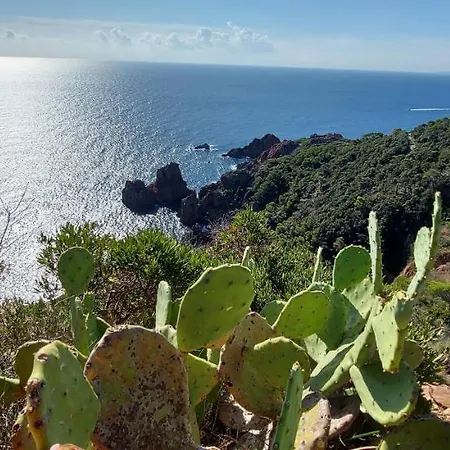 Vue Exceptionnelle Sur La Et Le Cap Esterel Апартаменты