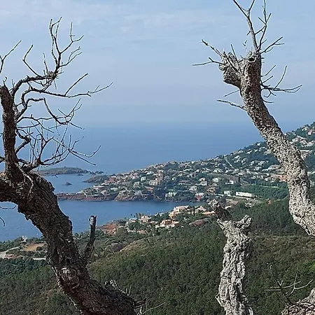 Vue Exceptionnelle Sur La Et Le Cap Esterel Апартаменты *