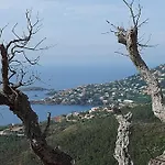 Vue Exceptionnelle Sur La Et Le Cap Esterel شقة *