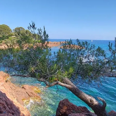 Vue Exceptionnelle Sur La Et Le Cap Esterel شقة Saint-Raphaël